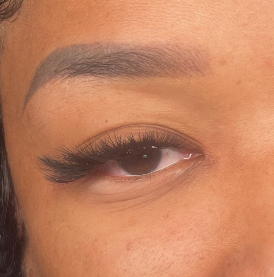 Lash Extension Styles Guide 2025: Which Look is Perfect for Your Eye Shape?